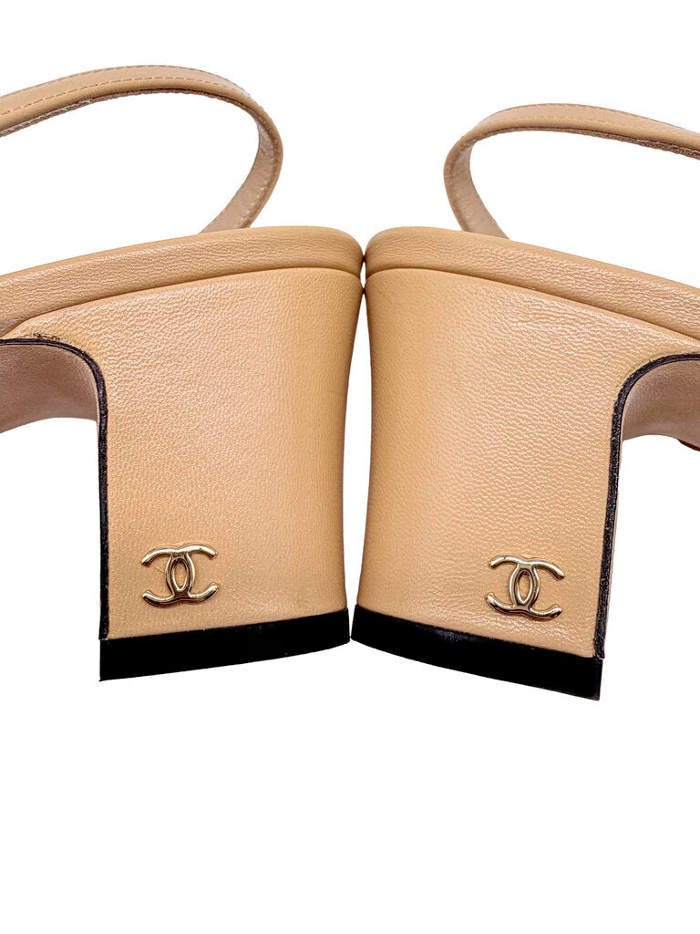 Leather & Crossgrain Heels Size 36C