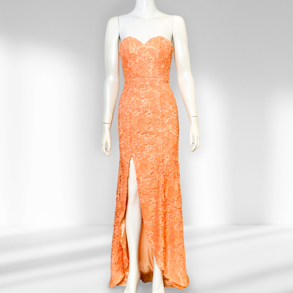 Bariano 'Josette' Gown NWT Size 6