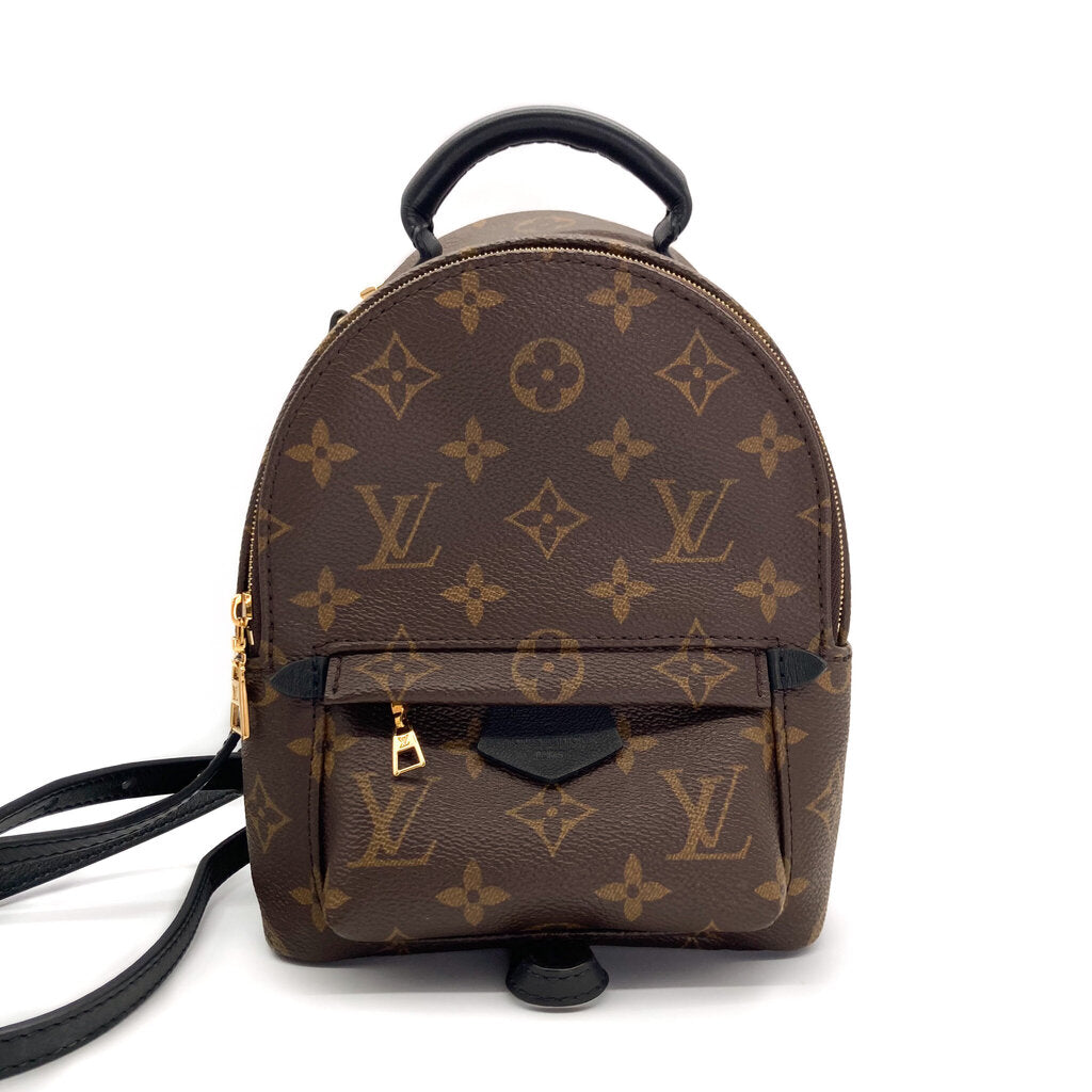 Louis Vuitton 'Palm Springs Mini' Backpack