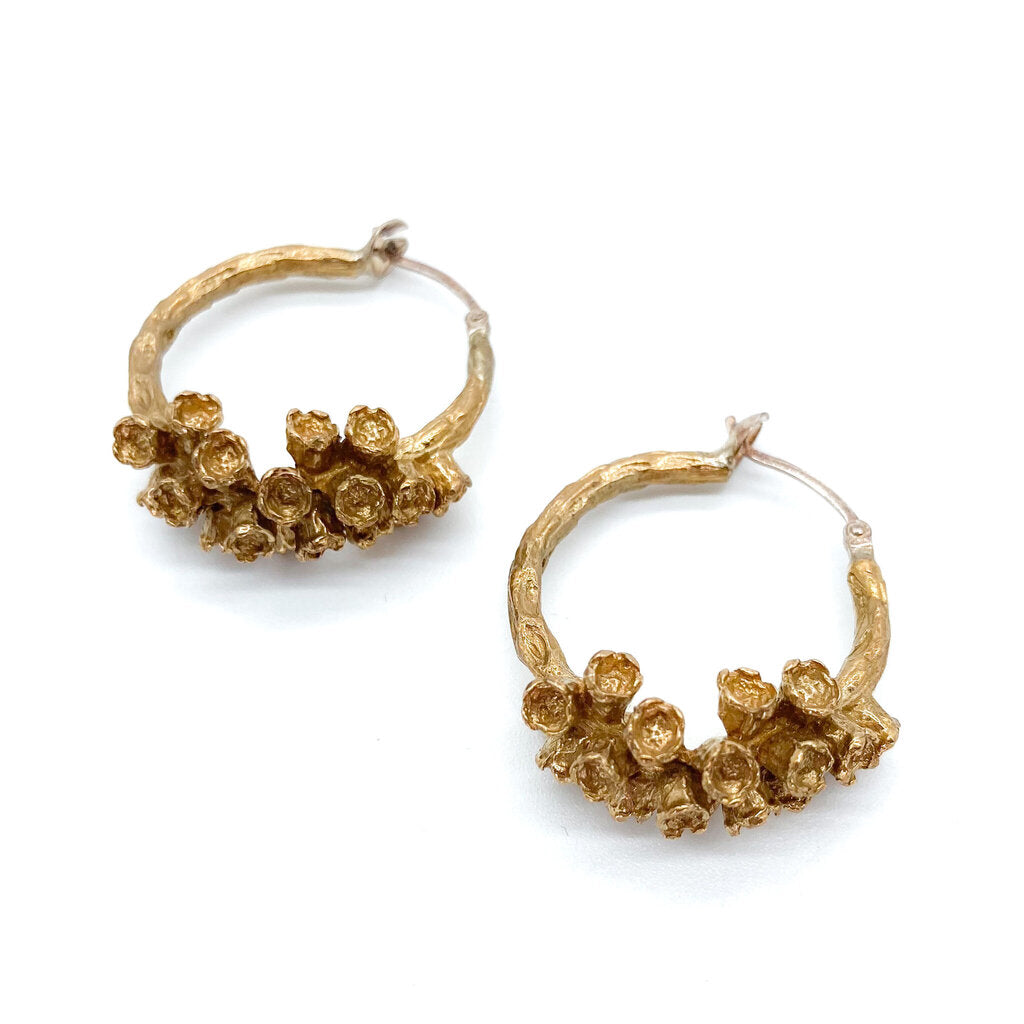 Abby Seymour 'Melaleuca Hoops' Brass Earrings