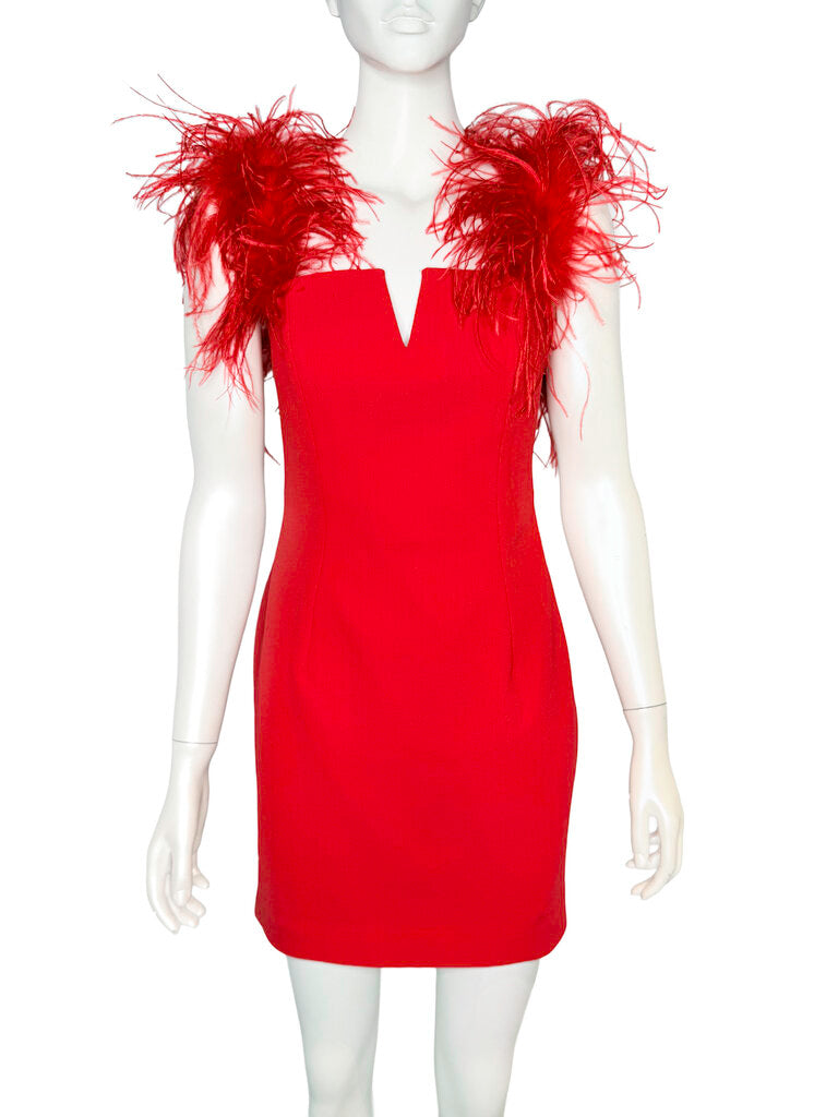 Feathered Mini Dress Size 10
